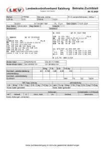tr�chtige Fleckvieh Kalbin zu verkaufen, beweidet und ruhig